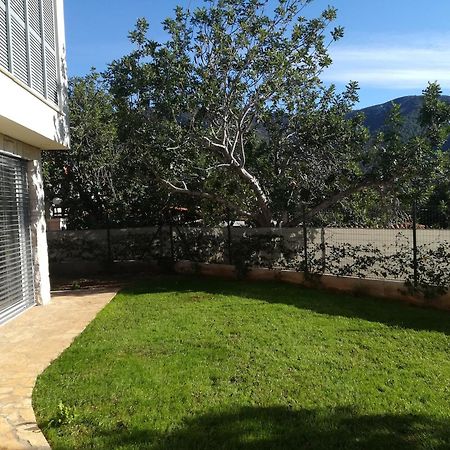 M&D Appartments コミジャ エクステリア 写真